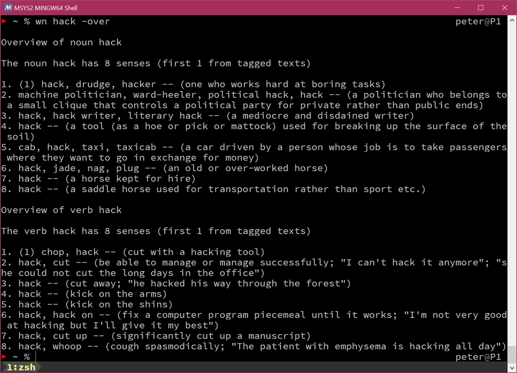 WordNet running on MSYS2 on Windows